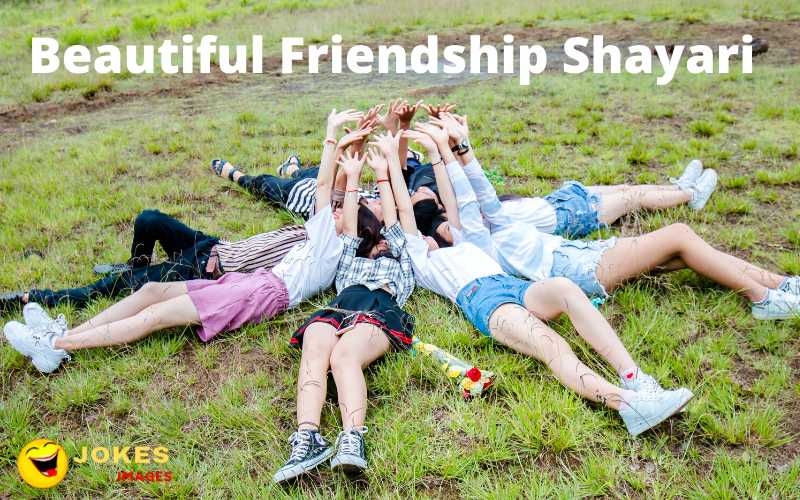 Beautiful Friendship Shayari