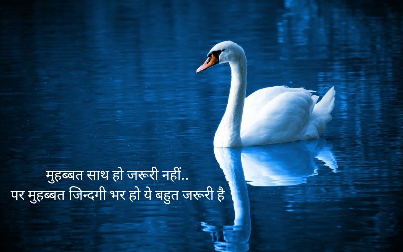 beautiful quotes in hindi on life