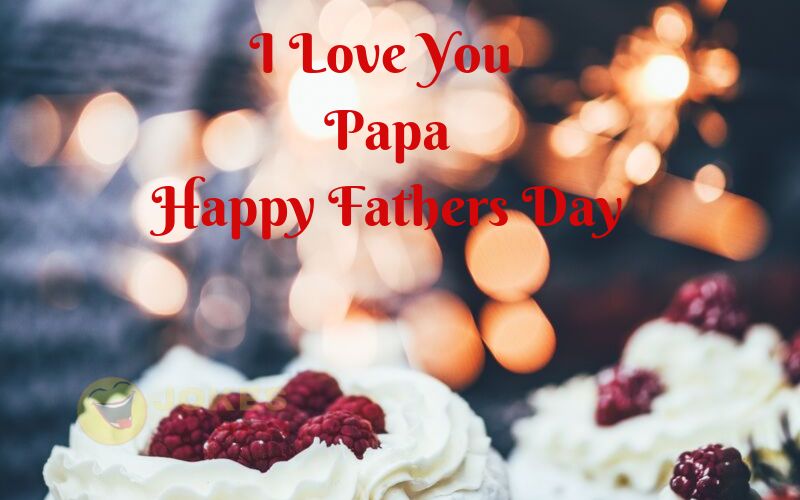 Happy Fathers Day Message in Hindi