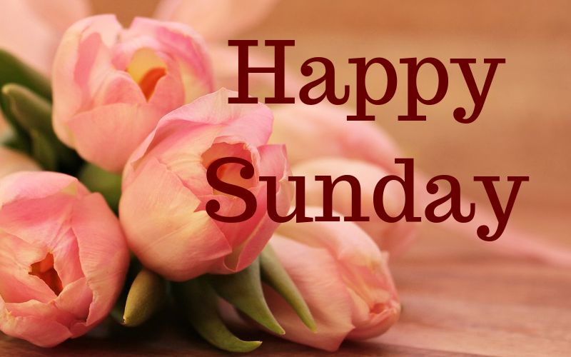 Best Sunday Wishes in Hindi