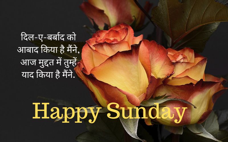  Sunday Shayari in Hindi
