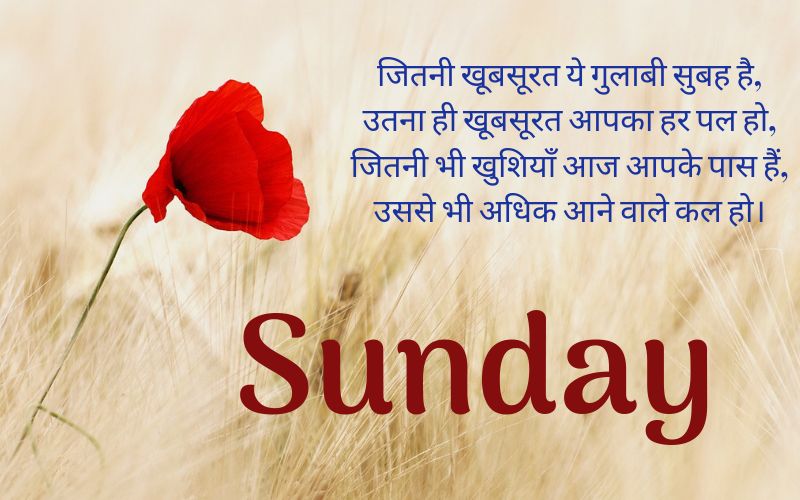 Happy Sunday Shayari 
