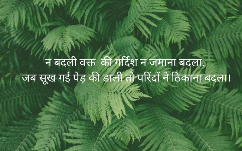inspiring quotes in hindi with images