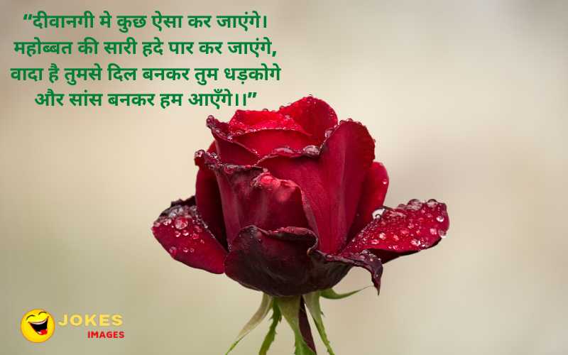 Love Shayari Hindi Images