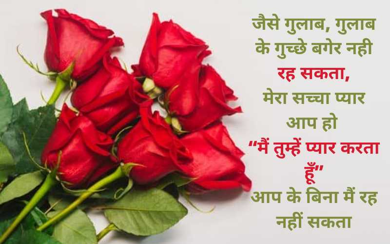 Red Rose Quotes