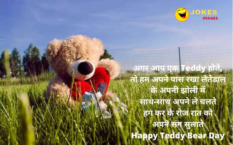 Happy Teddy Day Wishes in Hindi