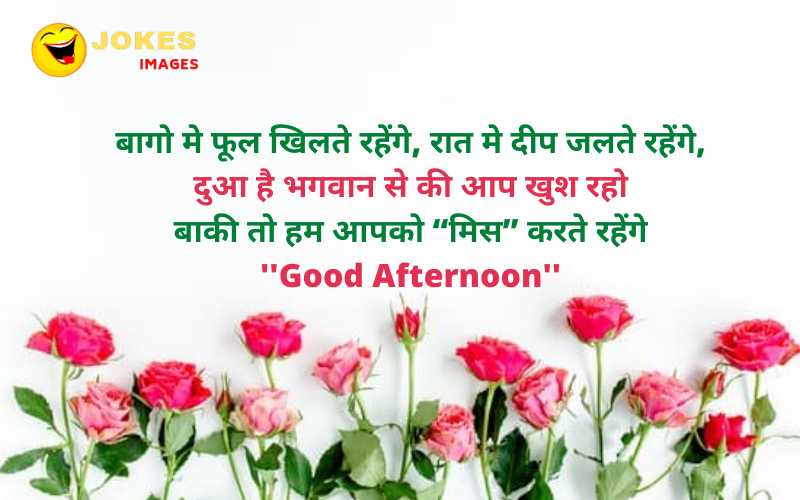 Good Afternoon Wishes in Hindi